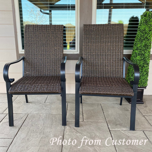 Lark Manor Abhijith 2Pieces Dark Brown Rattan Chair Patio Dining